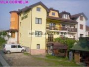 resurse/uploaded_files/vila/thumb/2011/3/vila-cornelia-baile-felix-1299119934-1.jpg
