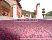 Sala Camelia
